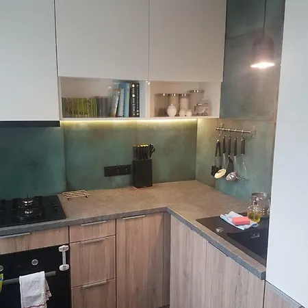 Apartament Katolove * 卡托维兹